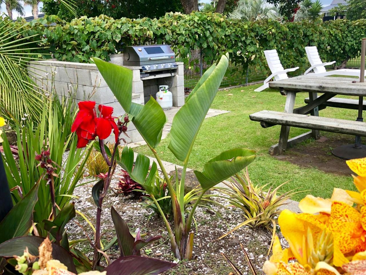 Teal Motor Lodge Gisborne Εξωτερικό φωτογραφία